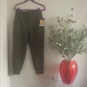 North Face Laterra Utility Jogger New Taupe Green.
